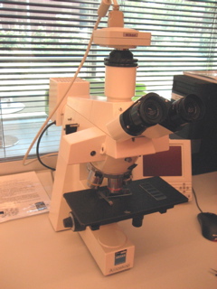 Picture of Microscope - Axioskop Zeiss