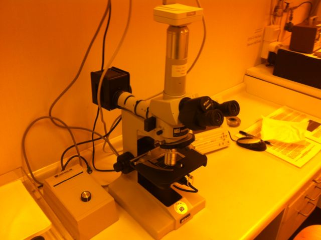 Picture of Microscope - Nikon Optiphot